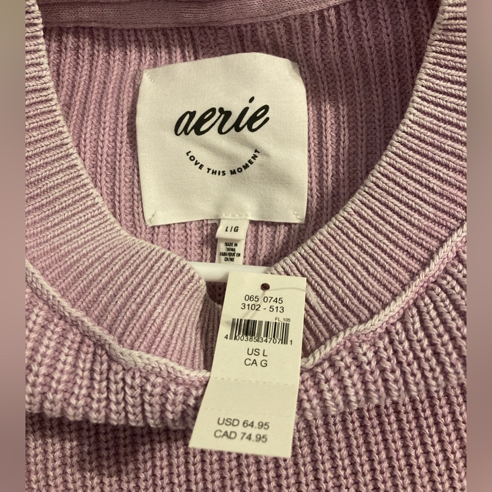 NWT Aerie Crewneck Sweater, Oversized, size Large. Comes from a smoke free home.